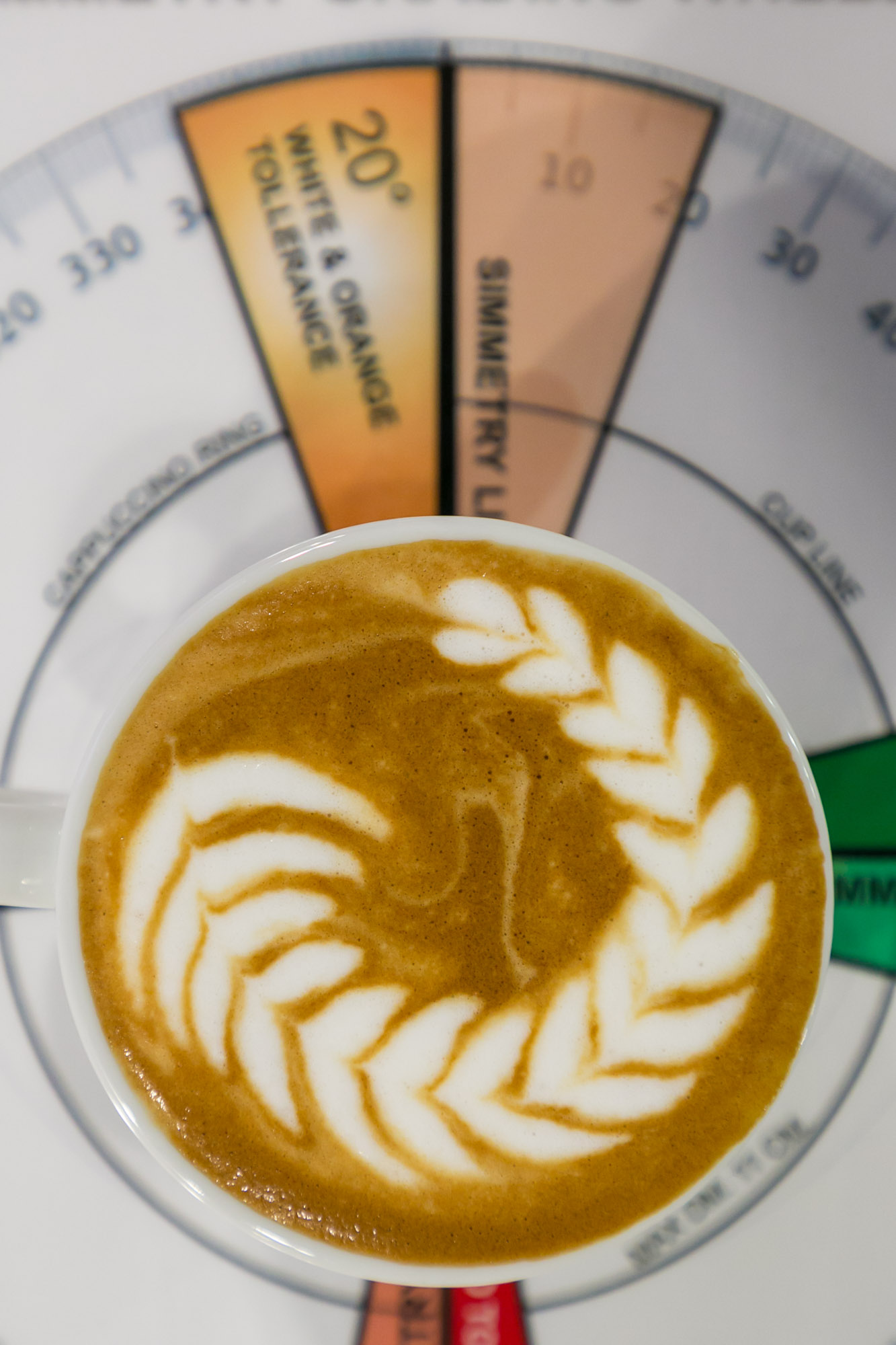 HOST 2019